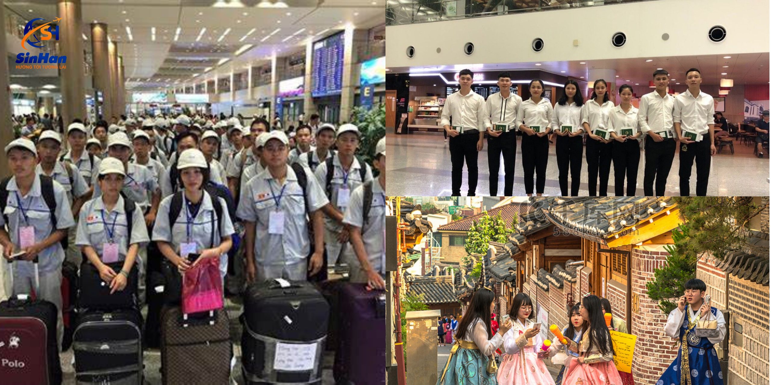 Du học nghề tại Hàn Quốc